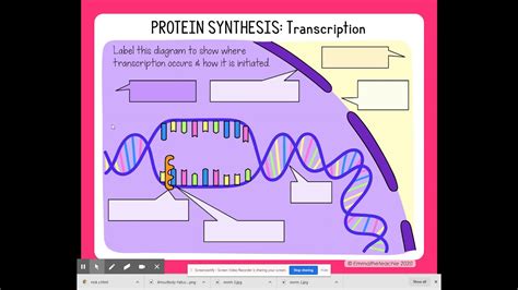 Image result for Protein Synthesis Explained