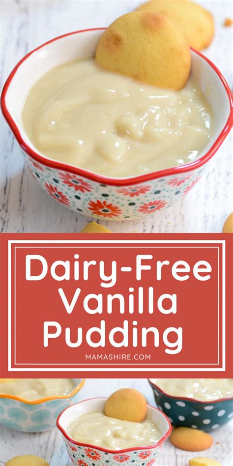 Dairy-Free Vanilla Pudding Recipe (Gluten-Free) | Recipe | Dairy free ...