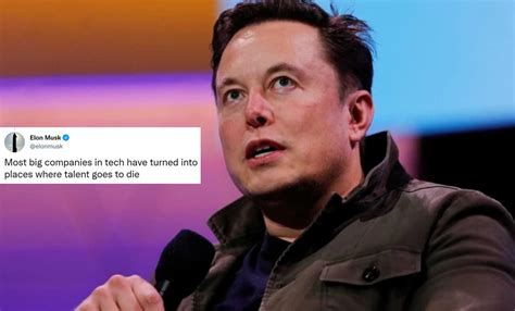 Elon Musk Thinks 'Most Big Tech Companies' Kill Young Talent; Twitter ...