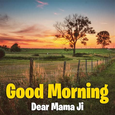Heartfelt Greetings: Good Morning Mama Ji Images Galore