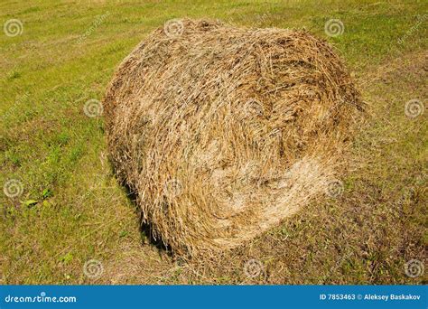 Image result for Haystack Comprende
