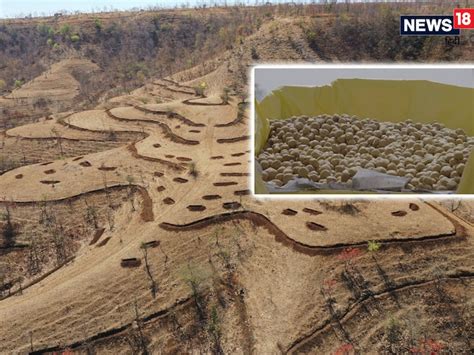 Know all about Halma Jhabua tribal tradition being discussed amid ...
