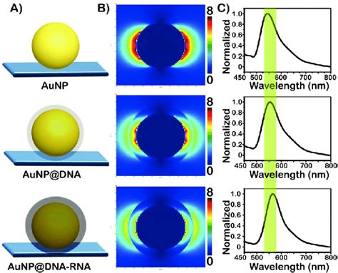 Image result for Convergence FDTD