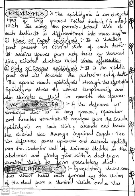 Image result for Human Reproduction Handwritten Notes