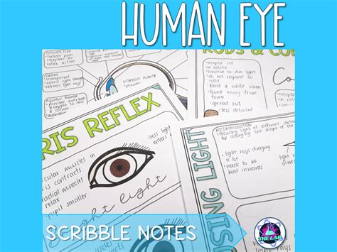 Image result for Eye Level Notes