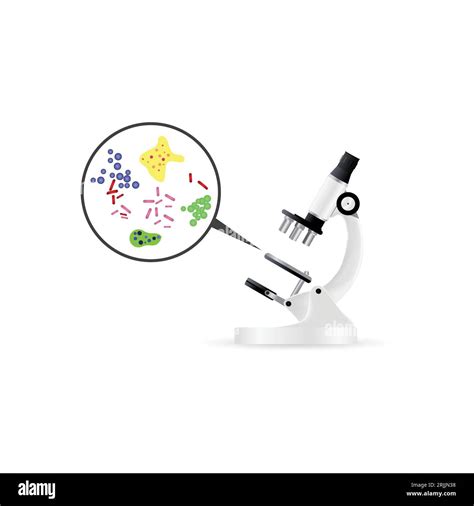 Microscope Bacteria 的图像结果