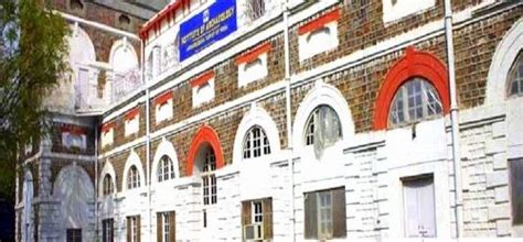 Institute of Archaeology Faculty Profile, New Delhi - CollegeBatch.com