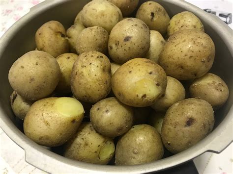 小土豆怎么做好吃_小土豆的做法大全_家常做法_下厨房