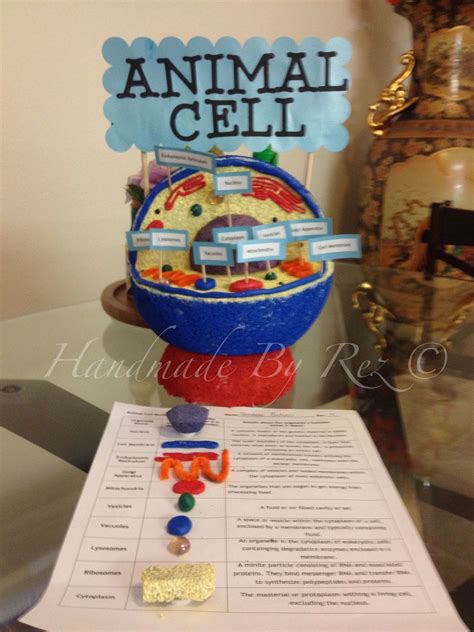 Animal cell project, Cells project, Biology projects