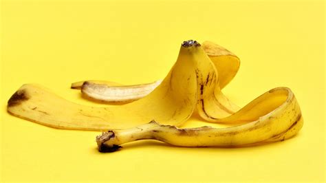 Banana Peel Vancouver at Alton Phelps blog