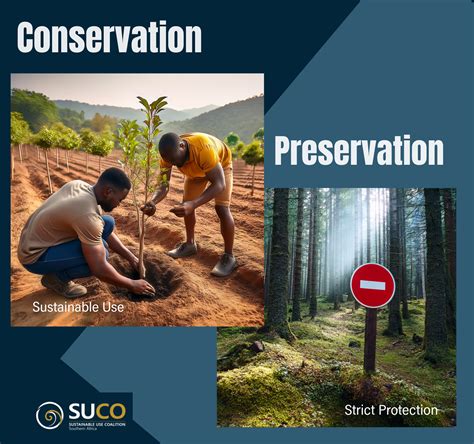 Conservation vs. Preservation: Why the Difference Matters – SUCo-SA