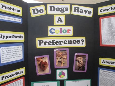 Experiments with Dogs 的图像结果