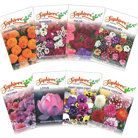 Saphirre Seeds Easy to Grow 8 Different Winter Flower Seeds| Marigold ...