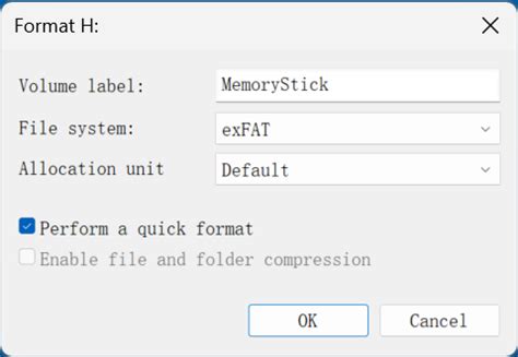 Image result for How to Fix Memory Stick