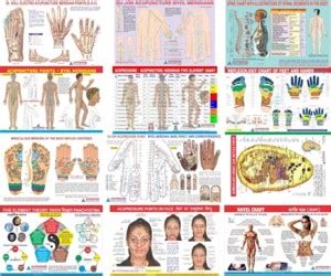 Acupressure + Other Therapy Chart Set Paper Print - Educational posters ...