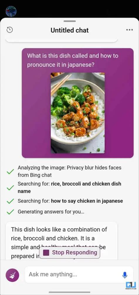 Bing Chat Visual Input 的图像结果