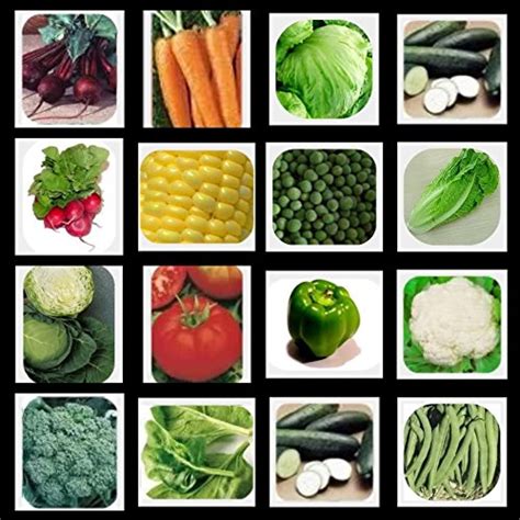 Seedscare India great veg combo of beetroot, carrot nantes, lettuce ...