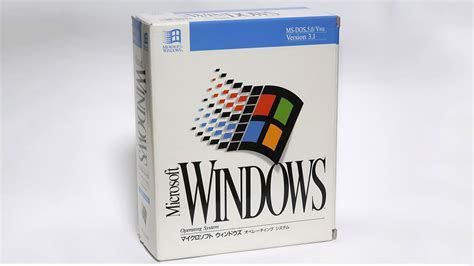 Image result for Windows 3.1 Internet
