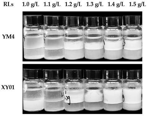 A Rare Mono-Rhamnolipid Congener Efficiently Produced by Recombinant ...
