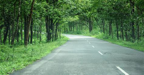 Bandipur tiger reserve: Centre writes to Karnataka on lifting night ...