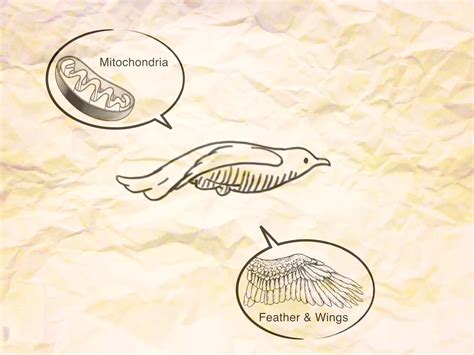 Image result for Biomimetics Examples