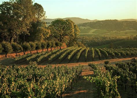 Angwin, CA in Napa Valley | Howell Mountain Wineries & Hiking