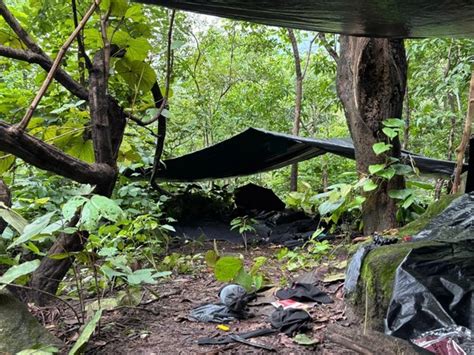 Jharkhand: Sub-Zonal Naxal commander gunned down in Bokaro encounter