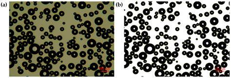Investigation of Stability of CO2 Microbubbles—Colloidal Gas Aphrons ...