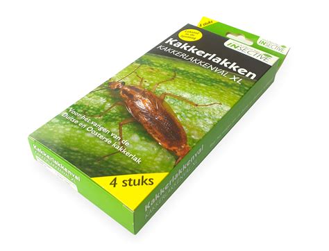 Image result for Cockroach Insert