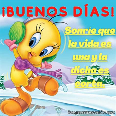 Piolin buenos dias frases » Imágenes Buenos Días