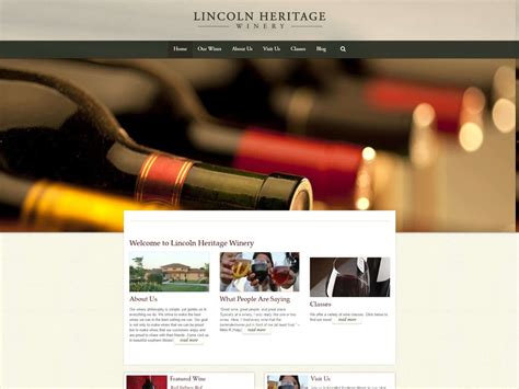 Portfolio | Tech Guy Consulting