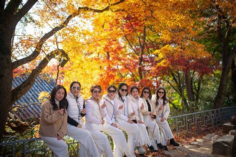 DMZ PRIVATE TOUR FROM SEOUL (2026) All You Need to Know BEFORE You Go ...