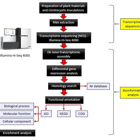 Image result for Transcriptomic Analysis