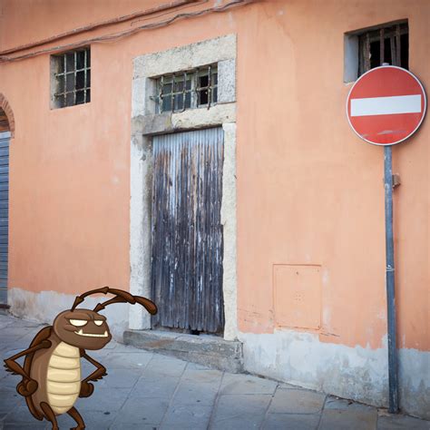 Cockroach Infestation Solutions 的图像结果