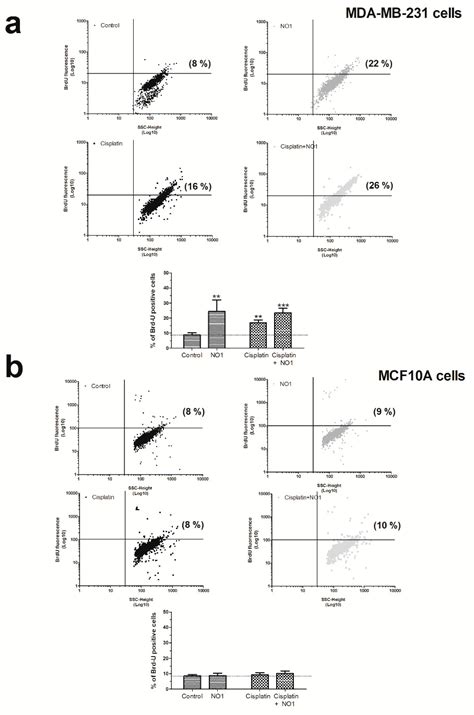 NO1, a New Sigma 2 Receptor/TMEM97 Fluorescent Ligand, Downregulates ...