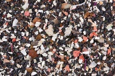 Image result for How Sand Is Formed