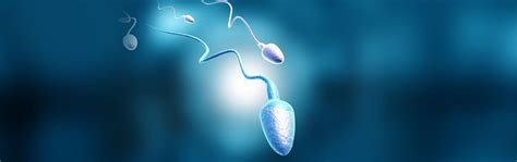Male Infertility: Causes, Diagnosis, Fertility Tests And Treatment