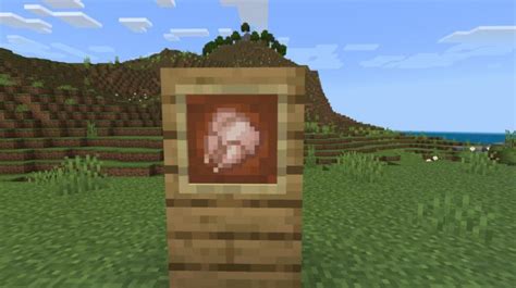 What Are The Best Food Sources In Minecraft? (2023)