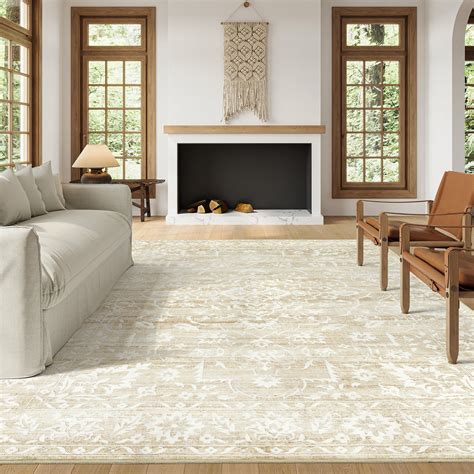 Neutral Living Room Area Rugs