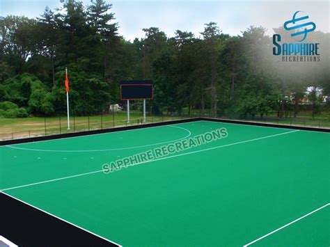 Hockey Grass 的图像结果