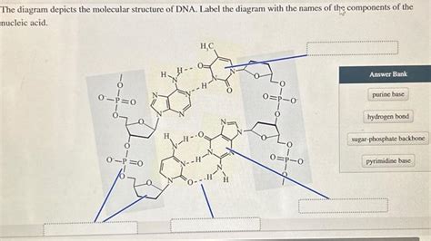 DNA Label 的图像结果