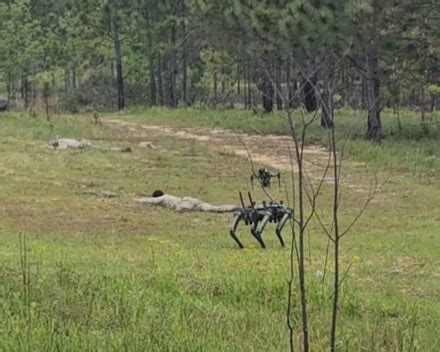 Ghost Robotics 的图像结果