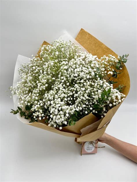 Fresh Baby Breath Bouquet | Melbourne Delivery