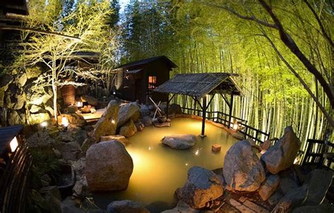 Image result for Onsen Types