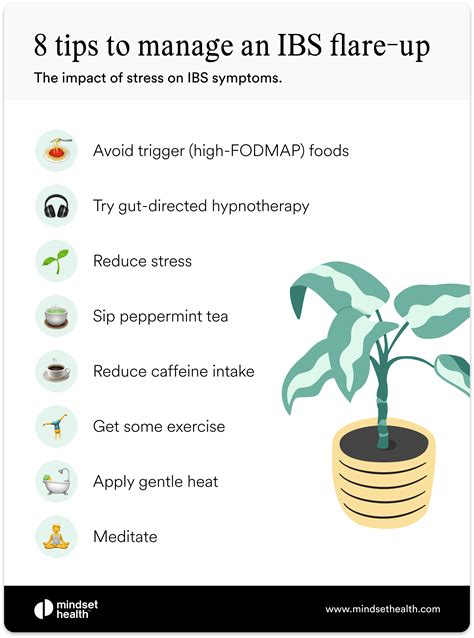 Ibs Flare Up
