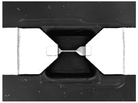 A THz Receiver with Novel Features and Functionality