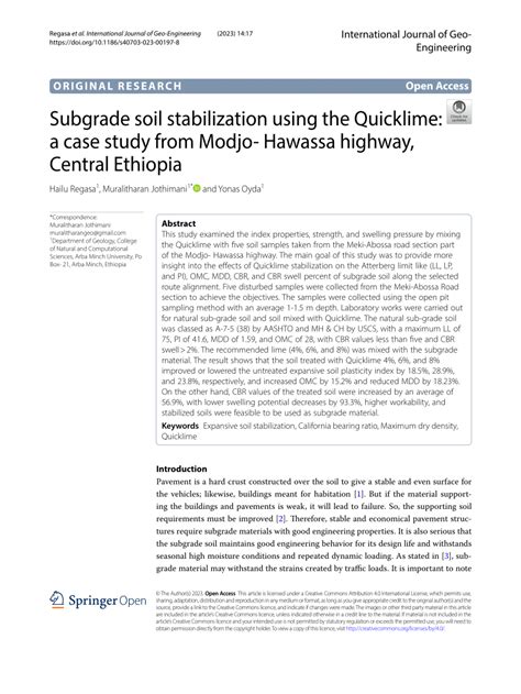 Image result for Modjo Ethiopia