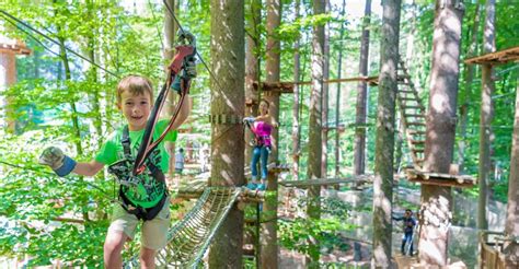 Rope Park Interlaken: Climbing Adventure With Entry Ticket | Travel Buddies