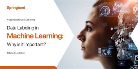 Image result for Labelled Data for Machine Learning