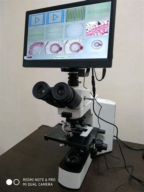 Microscope with Computer Connection 的图像结果